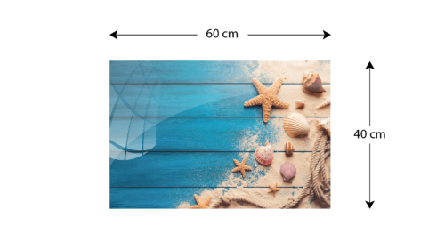 Tableau en Verre Magnétique Coquillages sur Planche en Bois 60x40cm, Impression sur Verre - dimensions