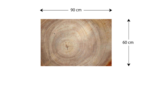 Tableau Magnétique en Métal Motif Tronc Cernes de Bois 90x60cm, MetalBoards pour tout type d’Aimants - dimensions