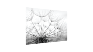 Plaque de Protection en Verre Trempé Universel et Multifonction - Planche à Découper & Plateau en Verre, 2 pièces 52x30cm Style Pissenlit