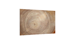 ALLboards Tableau en Verre Magnétique Style Bois Tronc Cernes de Bois 90x60cm, Impression sur Verre