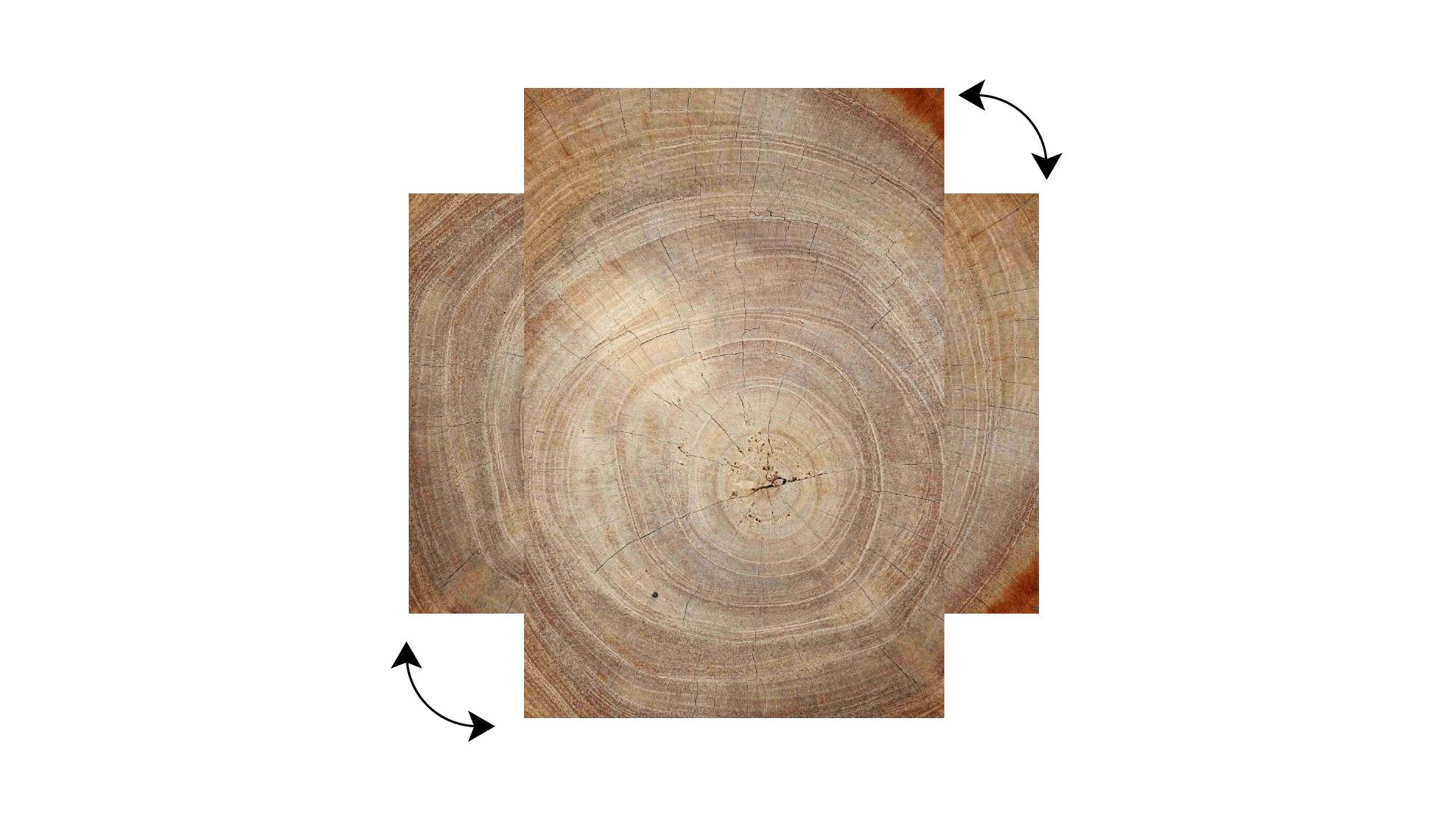 Tableau Magnétique en Métal Motif Tronc Cernes de Bois 90x60cm, MetalBoards pour tout type d'Aimants – Image 5