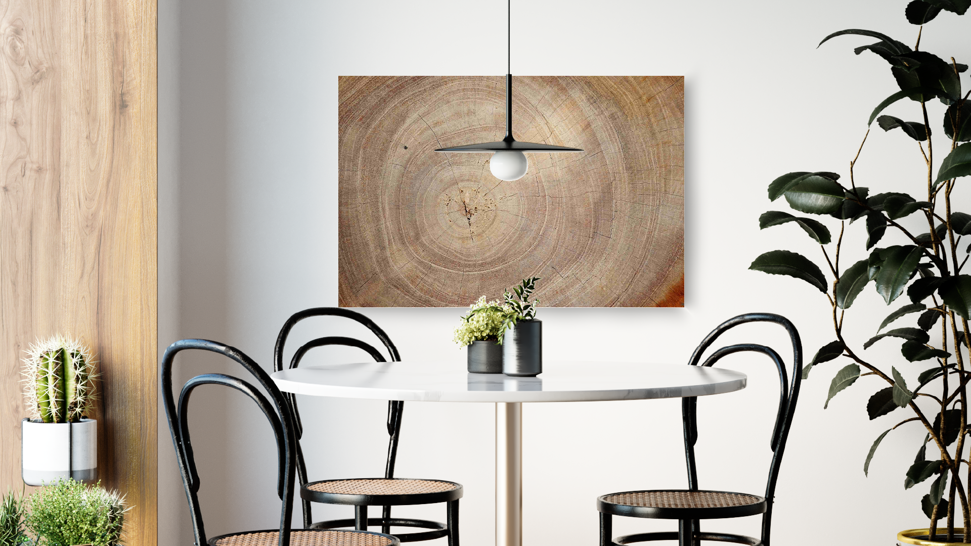 Tableau Magnétique en Métal Motif Tronc Cernes de Bois 90x60cm, MetalBoards pour tout type d'Aimants – Image 3